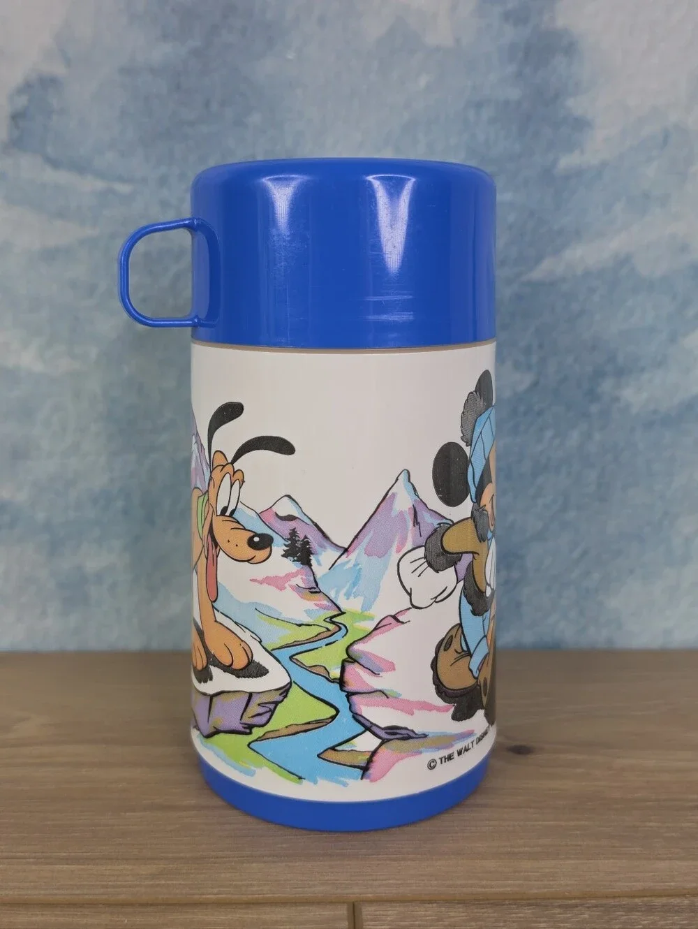Vintage Disney Mickey Mouse Lookout Peak Aladdin Thermos 80s